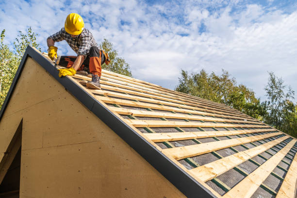 Best Roof Maintenance Services  in Dawson Springs, KY
