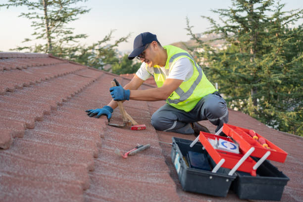 Best Local Roofing Companies  in Dawson Springs, KY