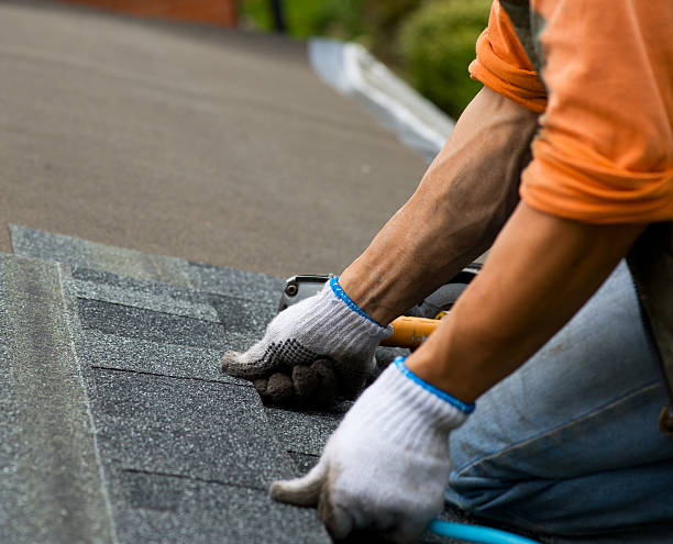 Best Roof Repair Services  in Dawson Springs, KY