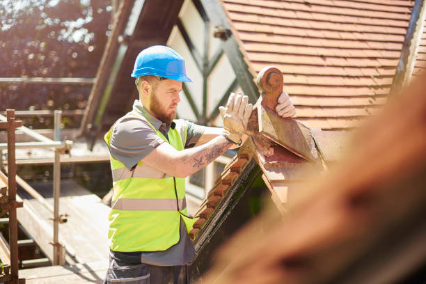 Best Metal Roofing Contractor  in Dawson Springs, KY